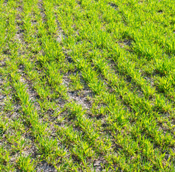 Similar image 7725034