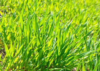 Similar image 7725045