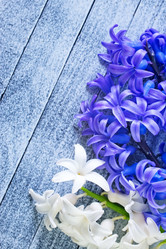 Similar image 7725056