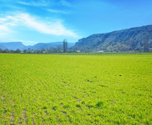 Similar image 7725068