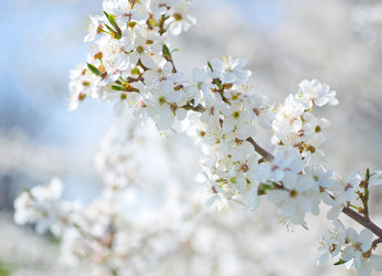 Similar image 7725069