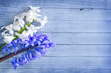 Similar image 7725073