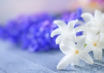 Similar image 7725074