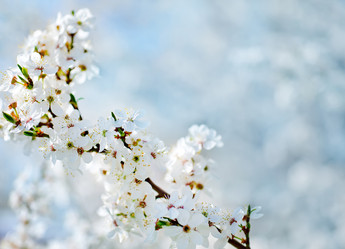 Similar image 7725096