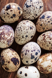 Similar image 7725110