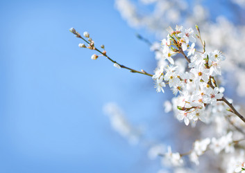 Similar image 7725120