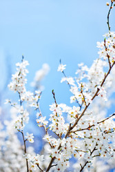 Similar image 7725130