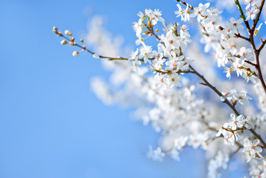 Similar image 7725148