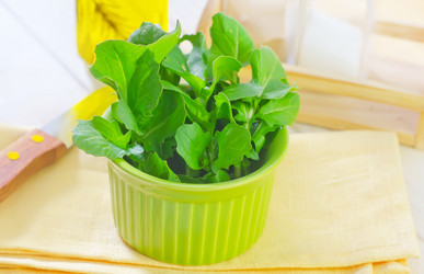 Similar image 7725169