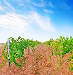 Similar image 7725257