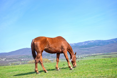 Similar image 7725306