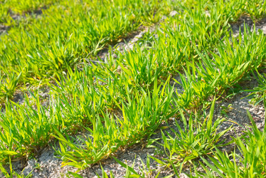 Similar image 7725314