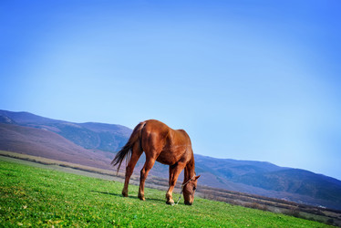 Similar image 7725325