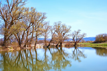 Similar image 7725329