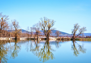 Similar image 7725330