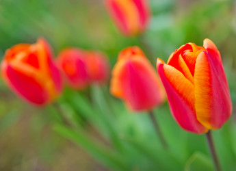 Similar image 7725417