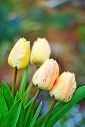 Similar image 7725432