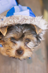 Similar image 7725448