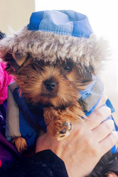 Similar image 7725449