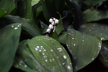 Similar image 7725450