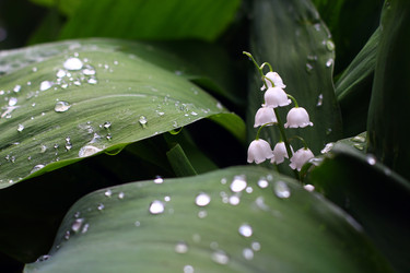 Similar image 7725451