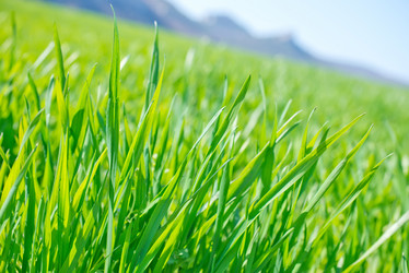 Similar image 7725466