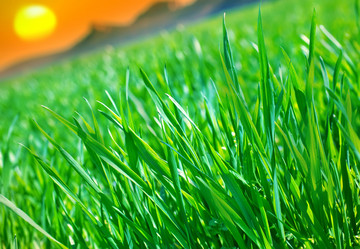 Similar image 7725468