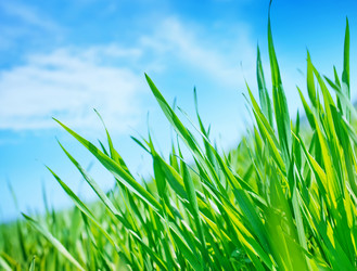 Similar image 7725470