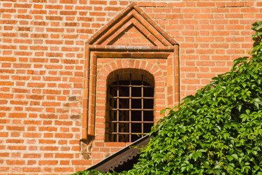 Similar image 7725497