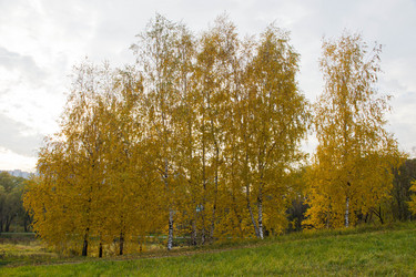 Similar image 7725634