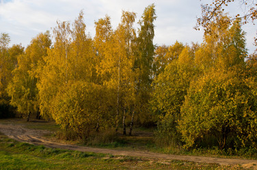 Similar image 7725635