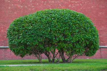 Similar image 7725640