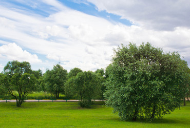 Similar image 7725641