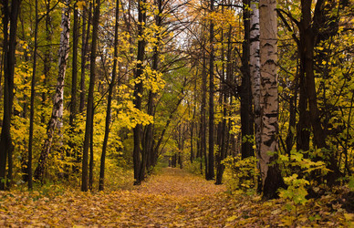 Similar image 7725695