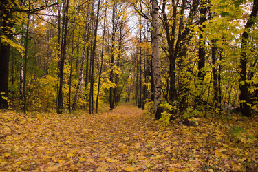 Similar image 7725701