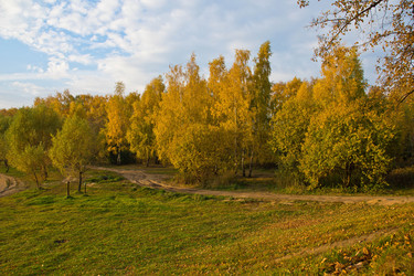 Similar image 7725702