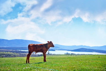 Similar image 7725713