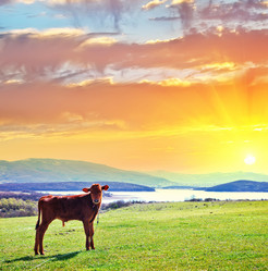 Similar image 7725714