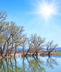 Similar image 7725717