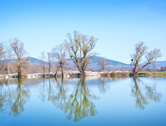 Similar image 7725718