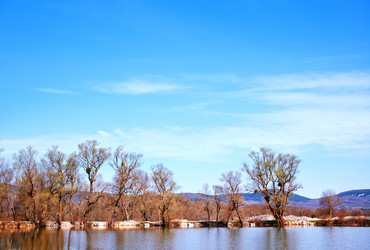 Similar image 7725720