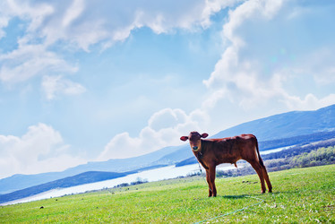 Similar image 7725721