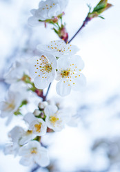 Similar image 7725743