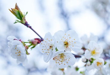 Similar image 7725744