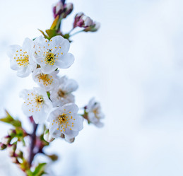 Similar image 7725746