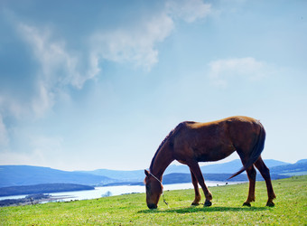 Similar image 7725996