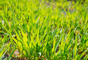 Similar image 7726135