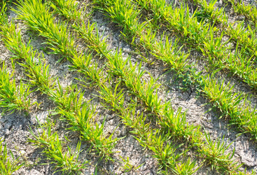 Similar image 7726136