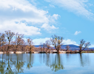 Similar image 7726150