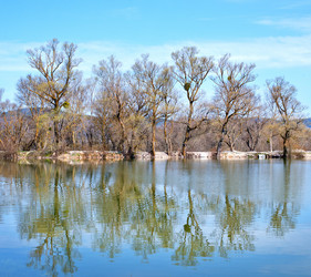 Similar image 7726161